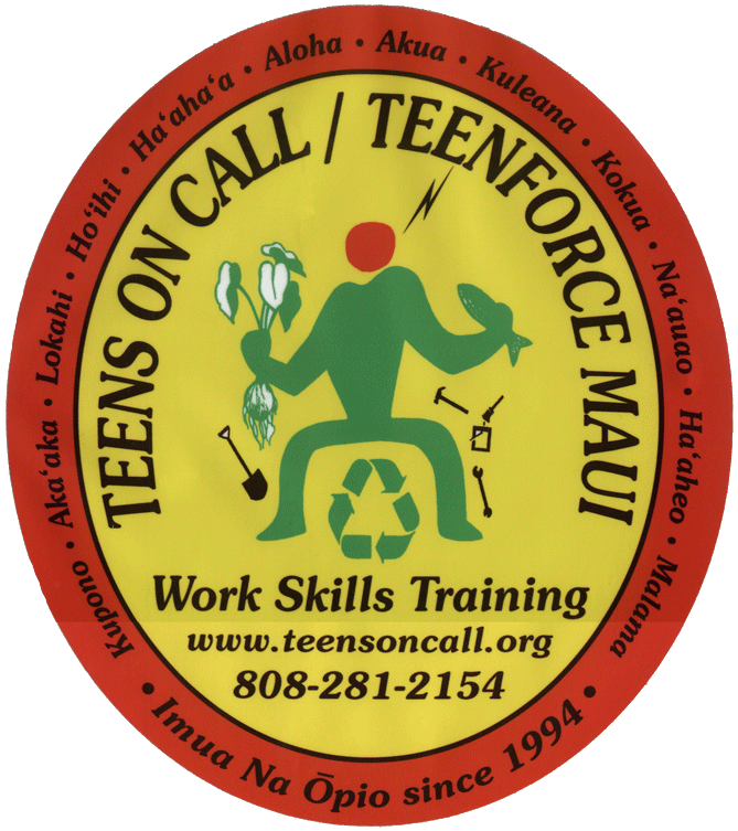 Teens On Call Logo & Values
